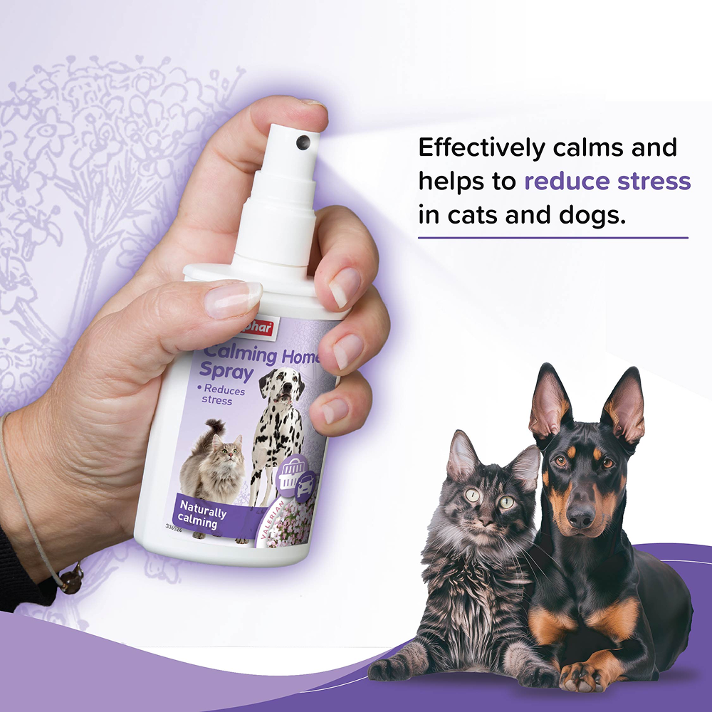 Beaphar Calming Home Spray for Dogs and Cats Dogs-Health & Wellness Beaphar