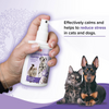 Beaphar Calming Home Spray for Dogs and Cats Dogs-Health & Wellness Beaphar