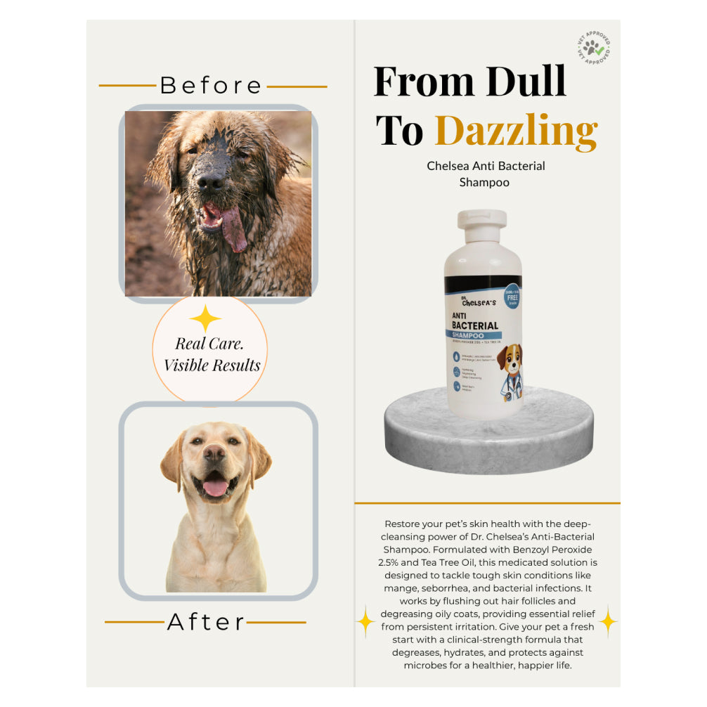 Dr. Chelsea’s Anti Bacterial Shampoo for Dogs & Cats Both-Grooming Supplies Dr. Chelsea's Dropship