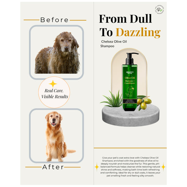 Chelsea’s Body Care Olive Oil Shampoo + Conditioner for Dogs & Cats