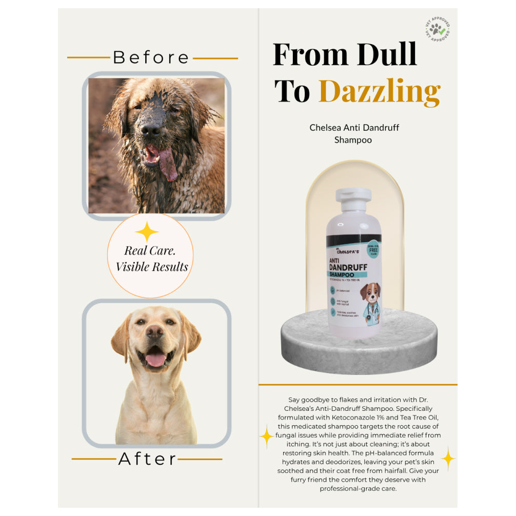Dr. Chelsea’s Anti Dandruff Shampoo for Dogs & Cats Both-Grooming Supplies Dr. Chelsea's Dropship