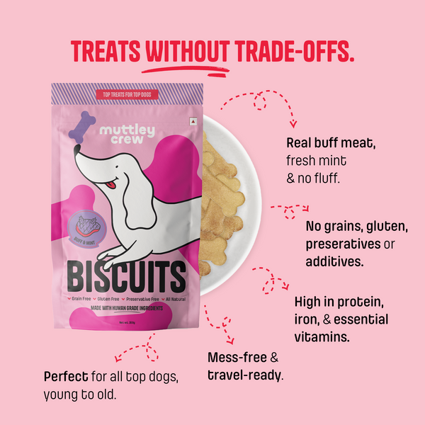 Muttley Crew Buff and Mint Biscuits Dog Treats