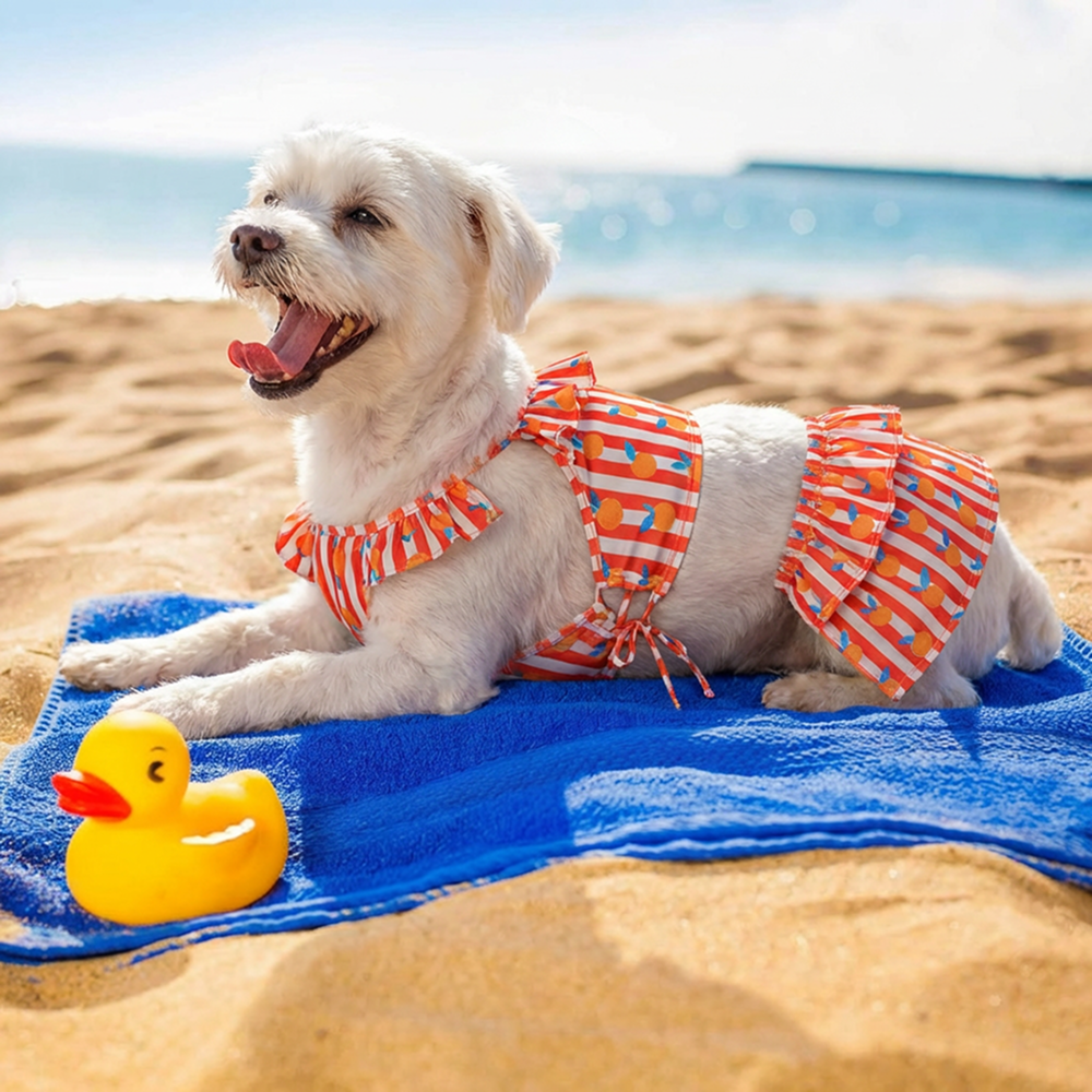 Pet Bigginis For Dogs (Pink/Orange/Blue)