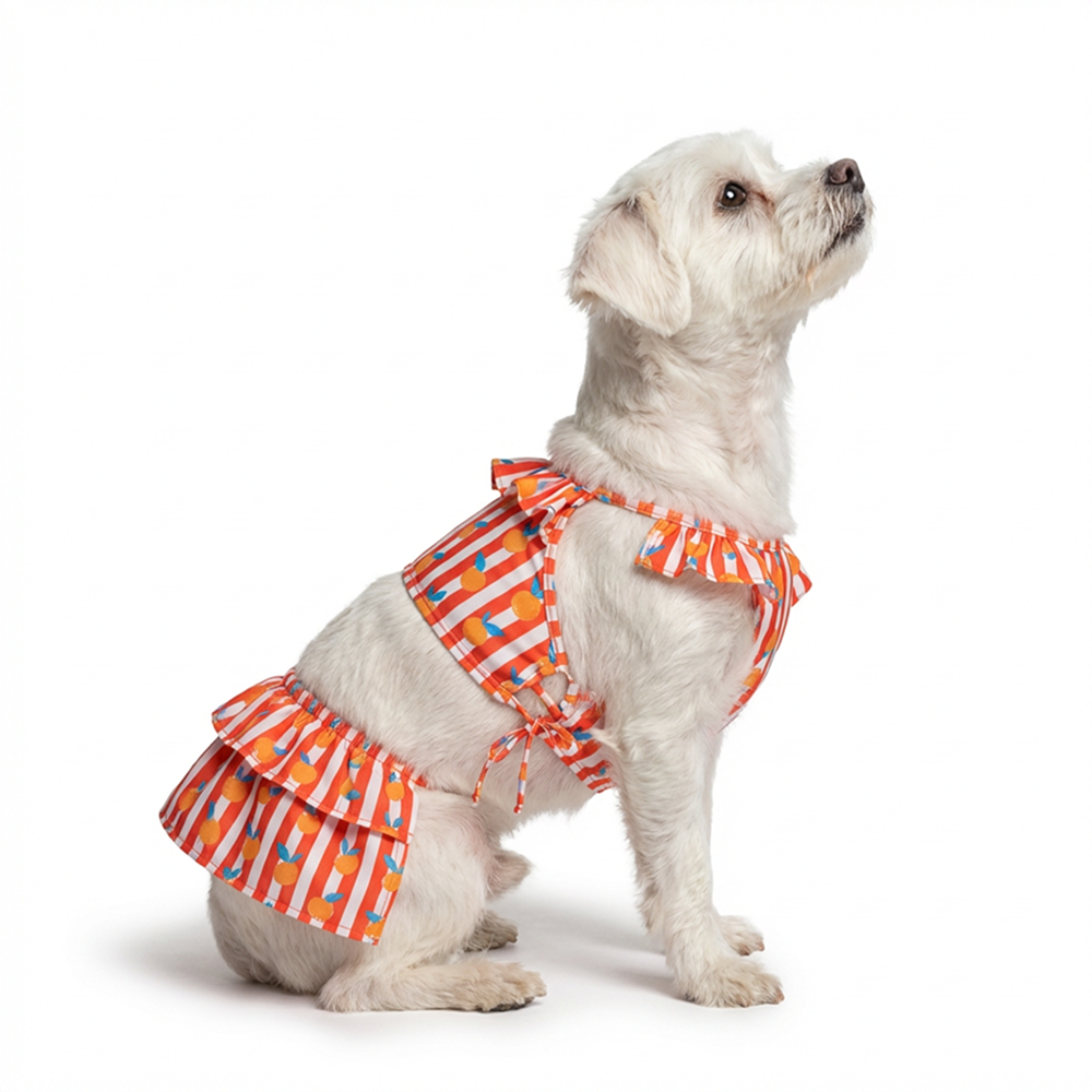 Pet Bigginis For Dogs (Pink/Orange/Blue)