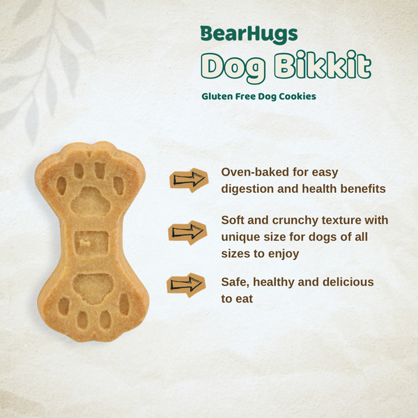 BearHugs Pumpkin & Carrot Bikkit Gluten Free Cookies Dog Treats