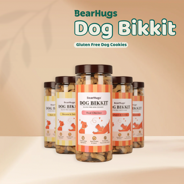 BearHugs Pumpkin & Carrot Bikkit Gluten Free Cookies Dog Treats