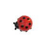 Skatrs Ladybug Catnip Ball Toy for Cats Cats-Toys Skatrs