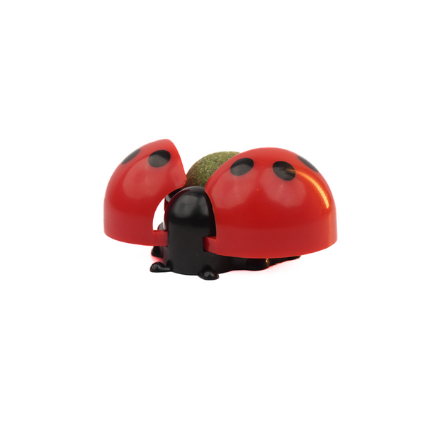Skatrs Ladybug Catnip Ball Toy for Cats