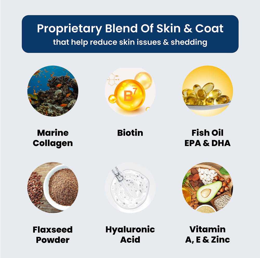Absolut Pet Probiotics Gut & Hip, Joint Care & Skin & Coat with Collagen Health Dog Supplements Combo Dogs-Health & Wellness Absolut Pet