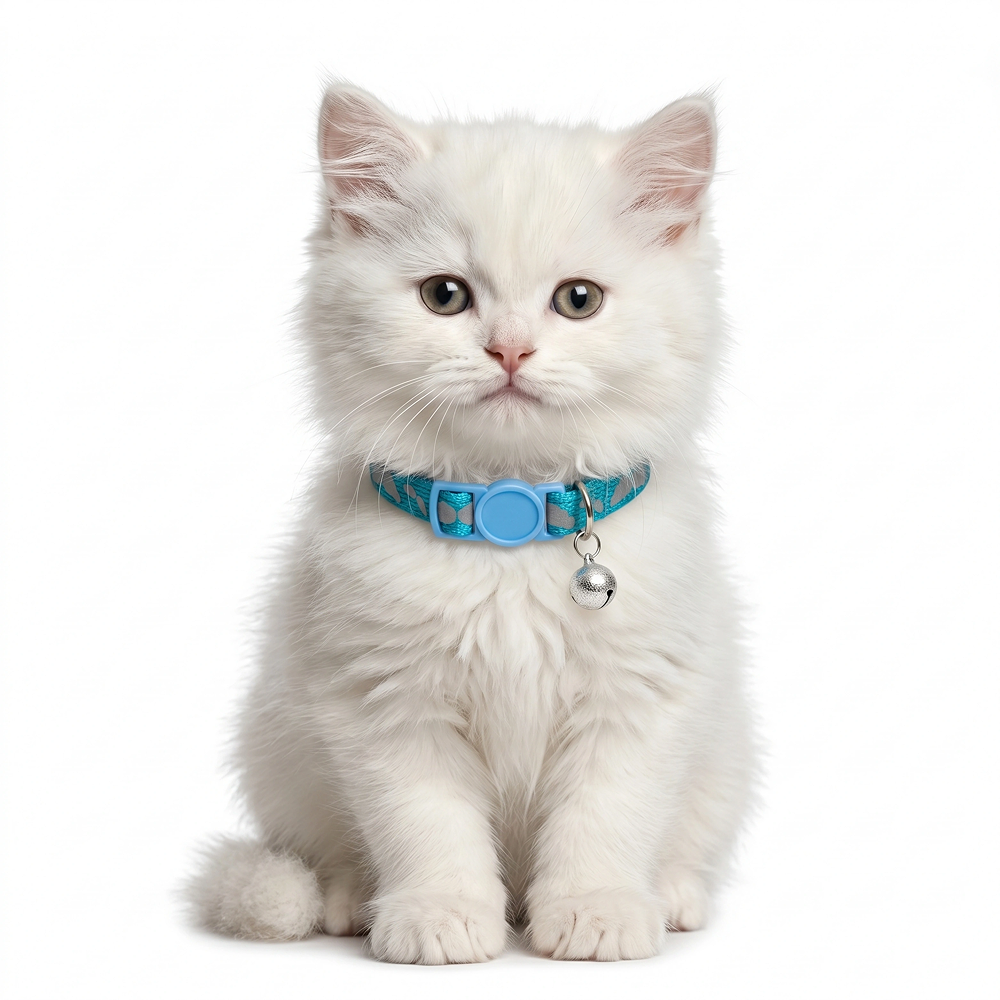 Basil Printed Collar for Cats & Puppies (Blue) Both-Collar, Leashes, harnesses Basil