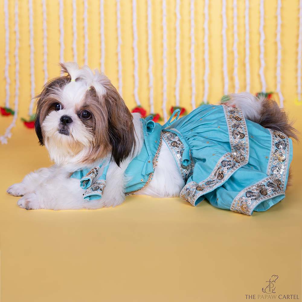 The Papaw Cartel Two Tiered Zardosi Lehenga With Stylish Choli for Dogs & Cats (Blue) Both-Clothing & Accessories The Papaw Cartel Dropship