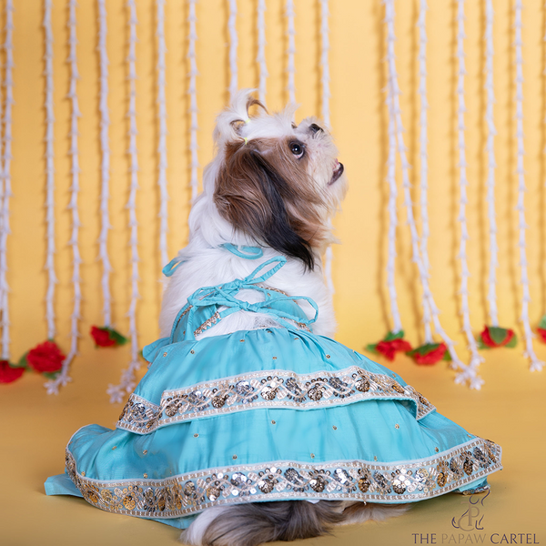 The Papaw Cartel Two Tiered Zardosi Lehenga With Stylish Choli for Dogs & Cats (Blue)