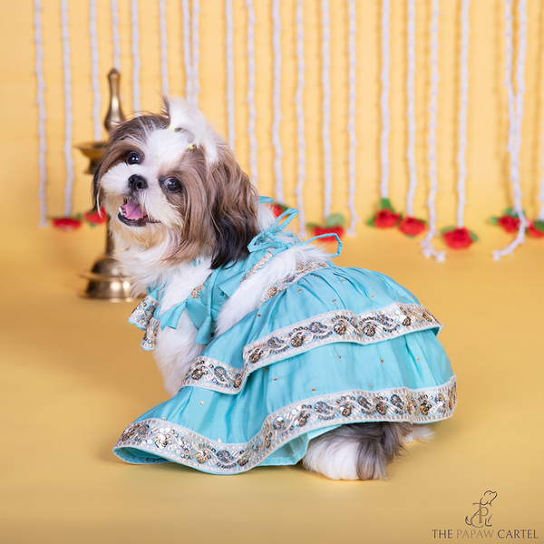 The Papaw Cartel Two Tiered Zardosi Lehenga With Stylish Choli for Dogs & Cats (Blue)