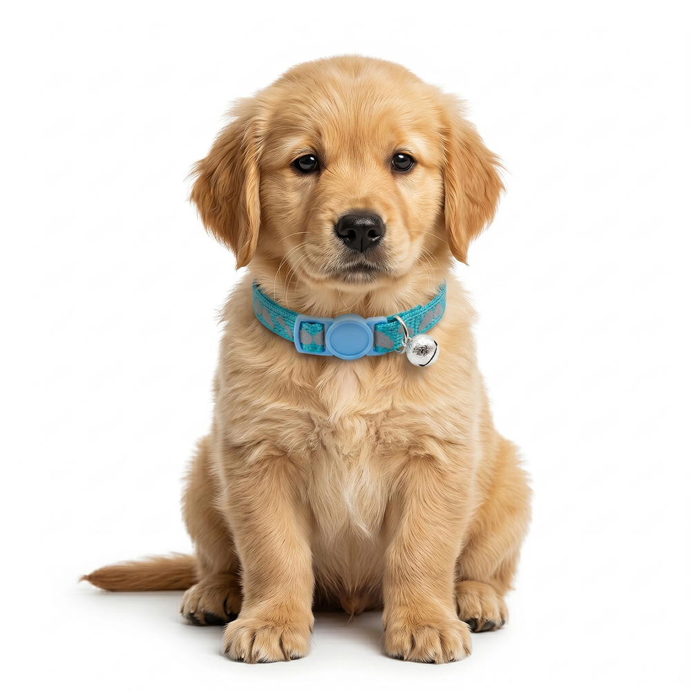 Basil Printed Collar for Cats & Puppies (Blue) Both-Collar, Leashes, harnesses Basil