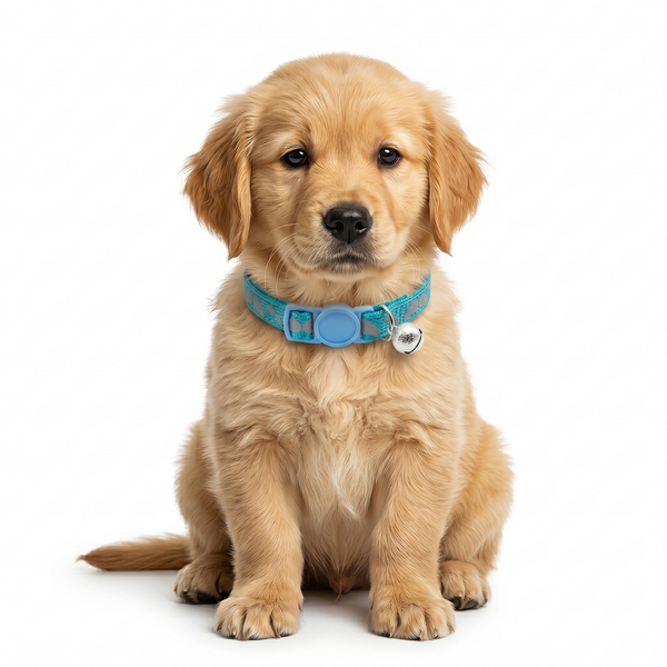 Basil Printed Collar for Cats & Puppies (Blue)