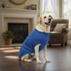 Skatrs Blue Sweater For Dogs and Cats Both-Clothing & Accessories Skatrs