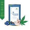 Healing Leaf Hemp Blueberry Treats and Skatrs Treat Hider Toy Combo for Dogs Exclusive Combo Exclusive Combo