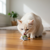 Skatrs Hedgehog Catnip Ball Toy for Cats Cats-Toys Skatrs
