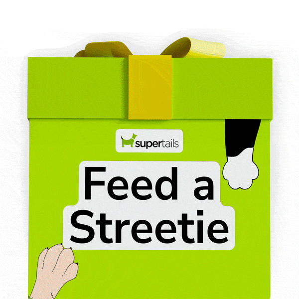 Feed a Streetie | Virtual feeding drive