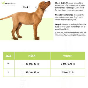 Glenand Padded Collar for Dogs (Brown)