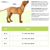 Trixie Premium Extra Wide Neoprene Padded Collar for Dogs (Boho Diamond/Caramel) Dogs-Collar, Leashes, harnesses Trixie