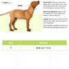 Basil Printed Collar for Cats & Puppies (Orange)