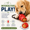 Talking Dog Club Sturdy Fire Hydrant Rubber & Rope Toy for Dogs (Red) Dogs-Toys Talking Dog Club Dropship
