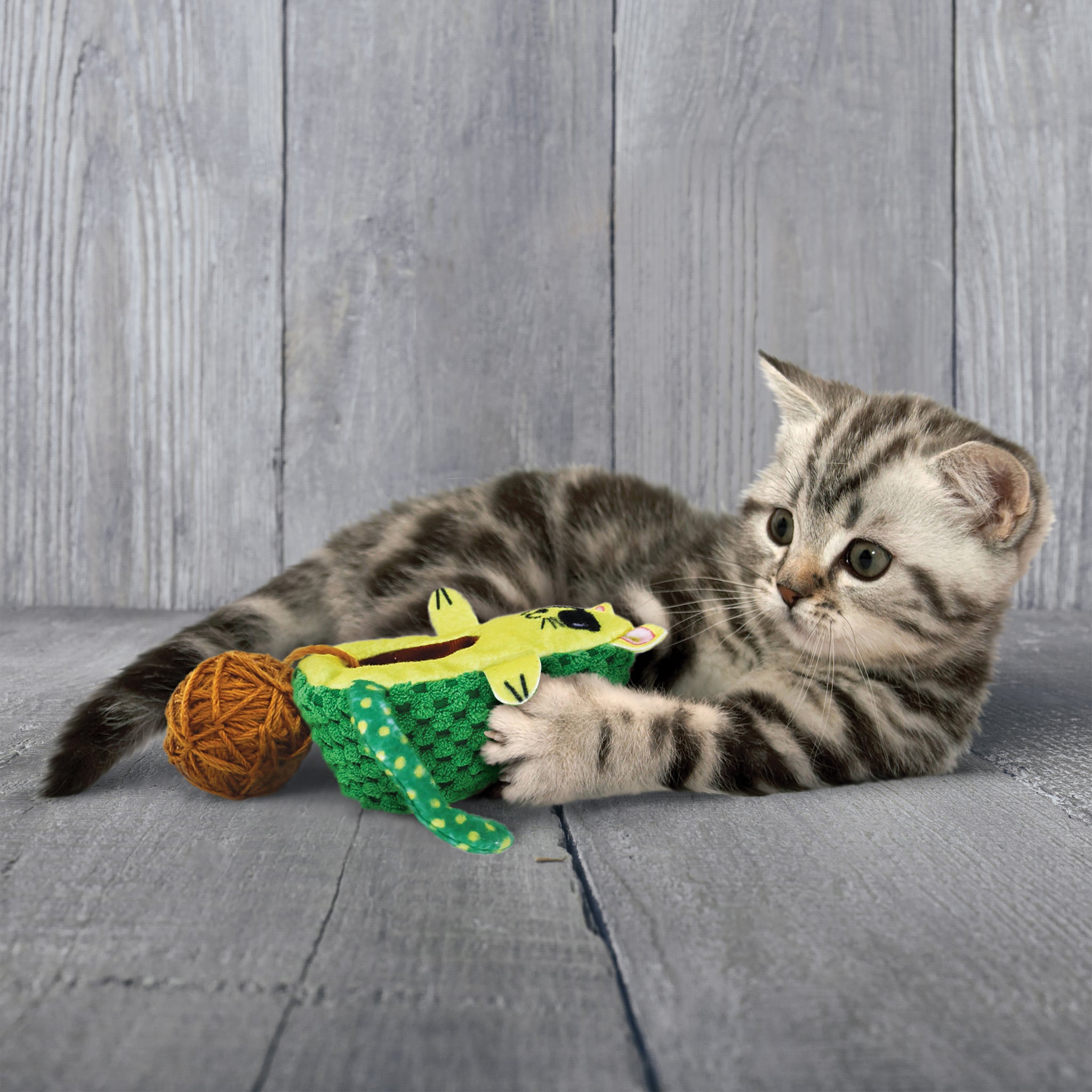 Kong Wrangler Avocato Toy for Cats (Green) Cats-Toys Kong
