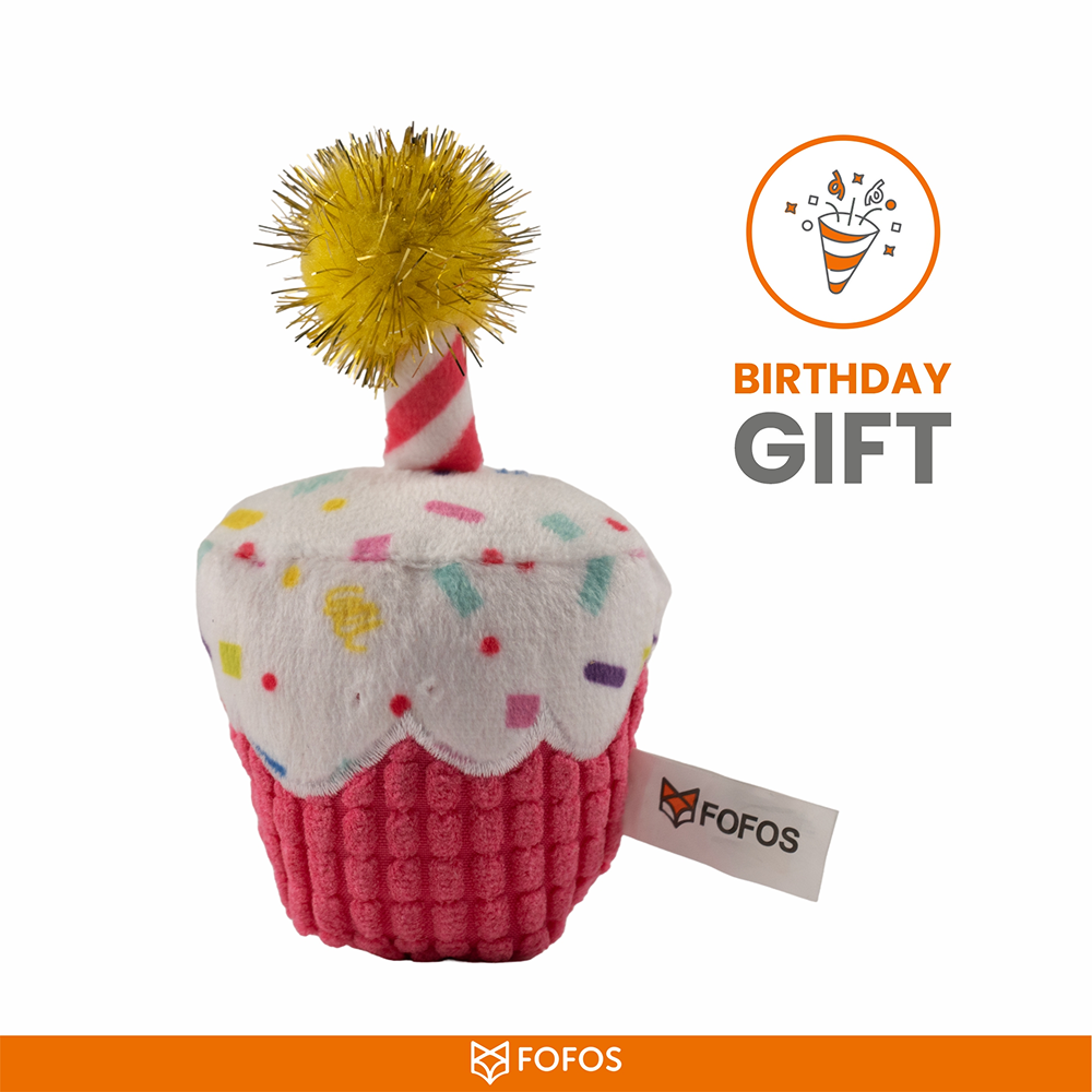 Barkbutler x Fofos Birthday Cake Catnip Toy for Cats Cats-Toys Barkbutler