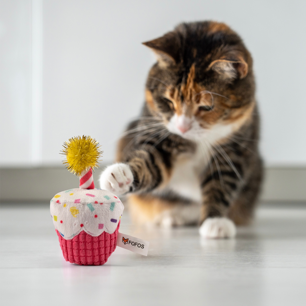 Barkbutler x Fofos Birthday Cake Catnip Toy for Cats Cats-Toys Barkbutler