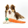 Zippy Paws Carrot Jigglerz Plush Toy for Dogs Dogs-Toys Zippy Paws