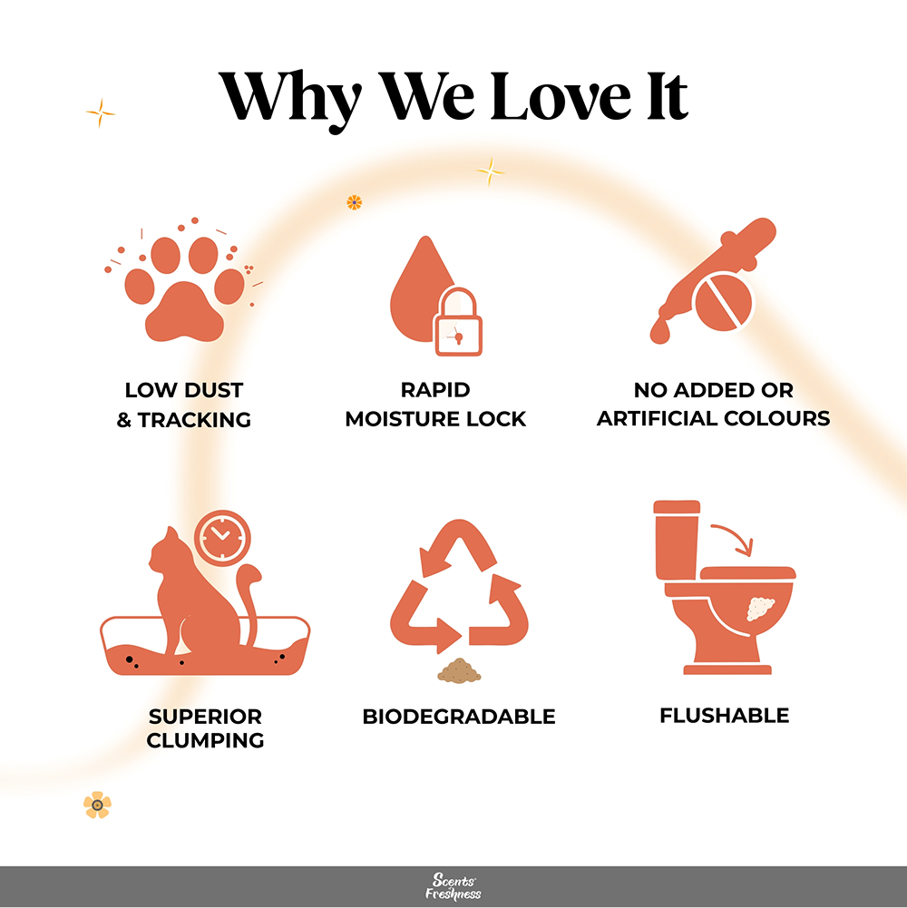 Barkbutler x Scents of Freshness Premium Grade Unscented Coloured Cat Litter (Grey) Cats-Litter Barkbutler