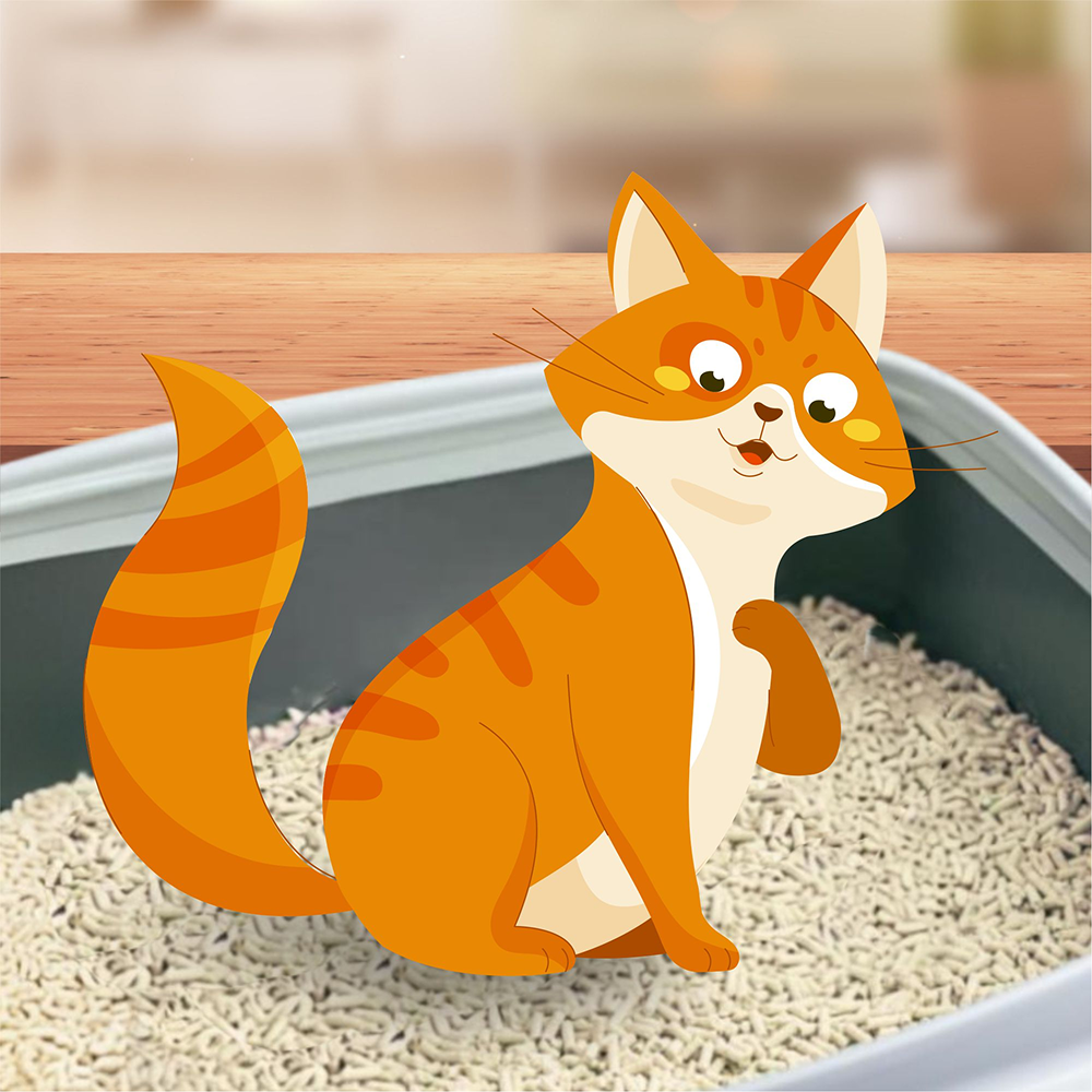 Barkbutler x Scents of Freshness Premium Grade Unscented Coloured Cat Litter (Grey) Cats-Litter Barkbutler