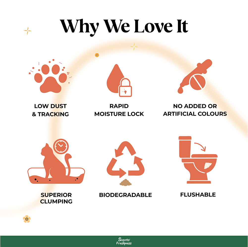 Barkbutler x Scents of Freshness Grade 2 Premium Green Tea Scented Cat Litter Cats-Litter Barkbutler