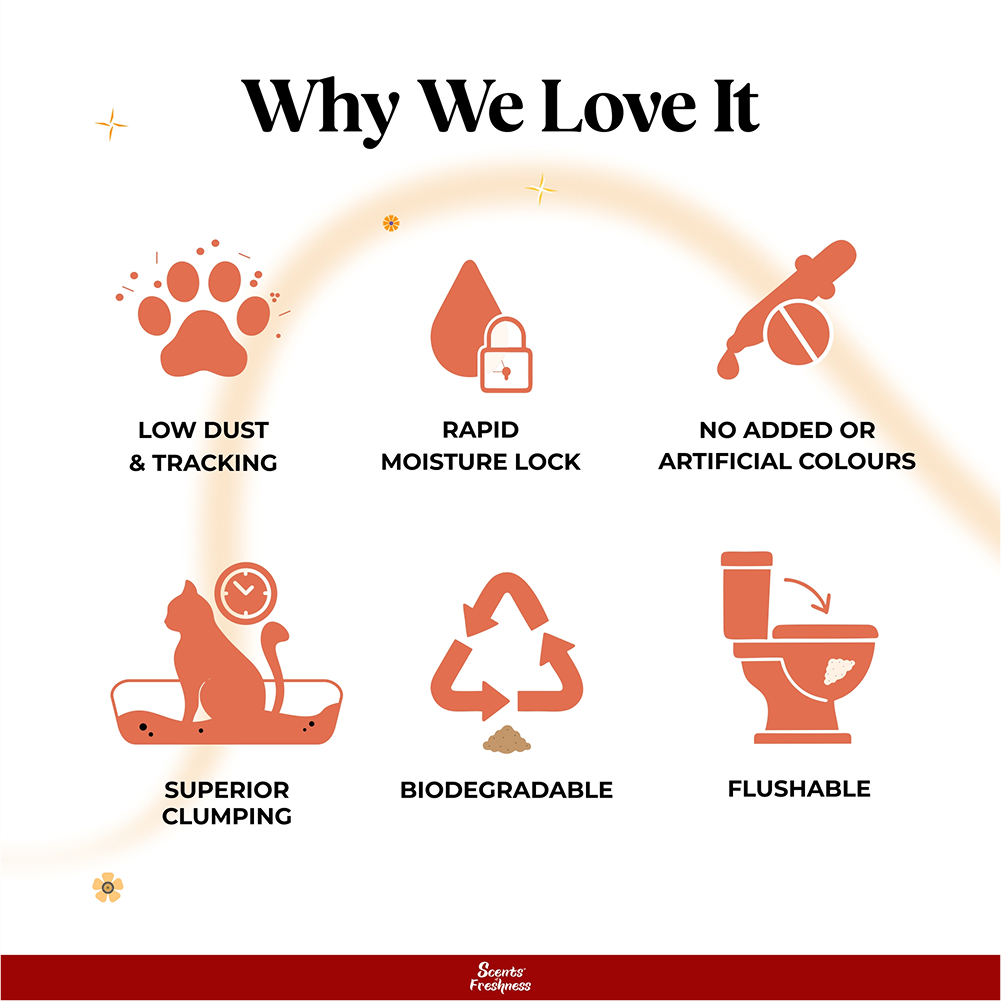 Barkbutler x Scents of Freshness Grade 1 Premium Scented Cat Litter Cats-Litter Barkbutler