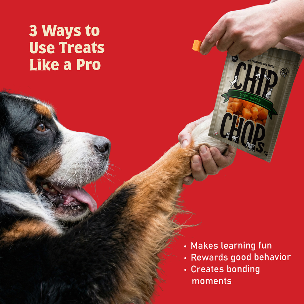 Chip Chops Diced Chicken Dog Treats Dog Treats + Others Chip Chops