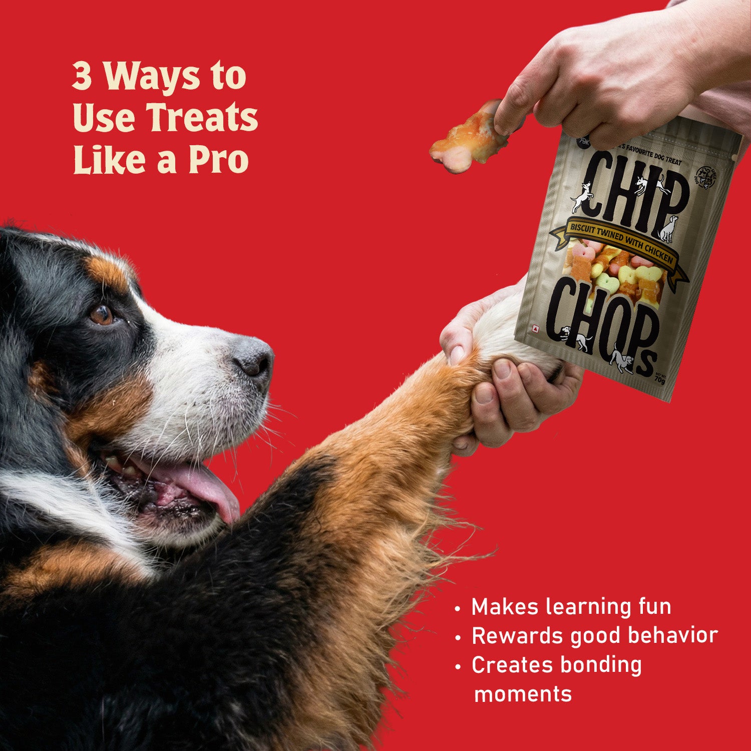 Chip Chops Biscuit Twined with Chicken Dog Treats