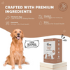PetStrong Premium Wet Food Variety Pack Combo for Dogs Dogs-Wet Food PetStrong