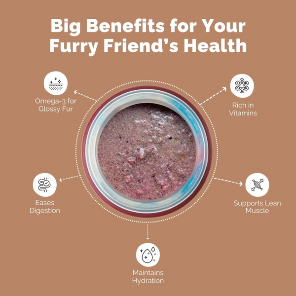 PetStrong Chicken and Veggies & Chicken and Egg in Gravy Wet Food for Dogs Combo