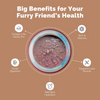 PetStrong Chicken and Egg & Chicken Liver in Gravy Wet Food for Dogs Combo Dogs-Wet Food PetStrong