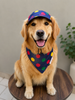 Pawgypets Denim Multi Polka Cap and Bandana Set for Dogs and Cats Both-Clothing & Accessories Pawgypets Dropship S
