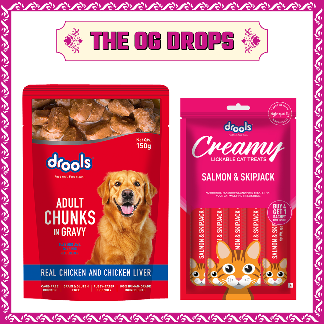 Drools Real Chicken & Chicken Liver Chunks in Gravy Adult Dog Wet Food Dogs-Wet Food Drools 90x150g+75g(Treat Free)