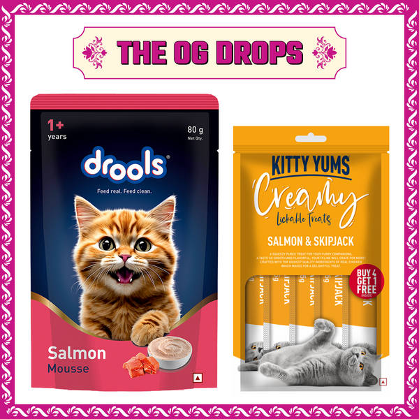 Drools Salmon Mousse Adult Cat Wet Food