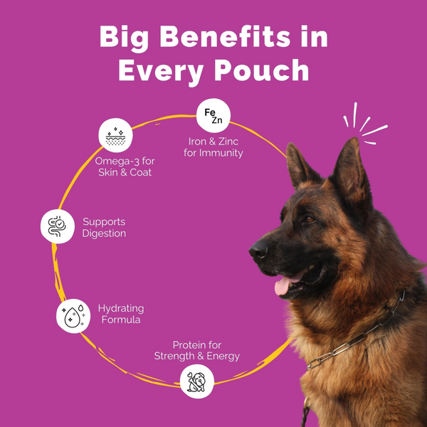 PetStrong Premium Wet Food Variety Pack Combo for Dogs