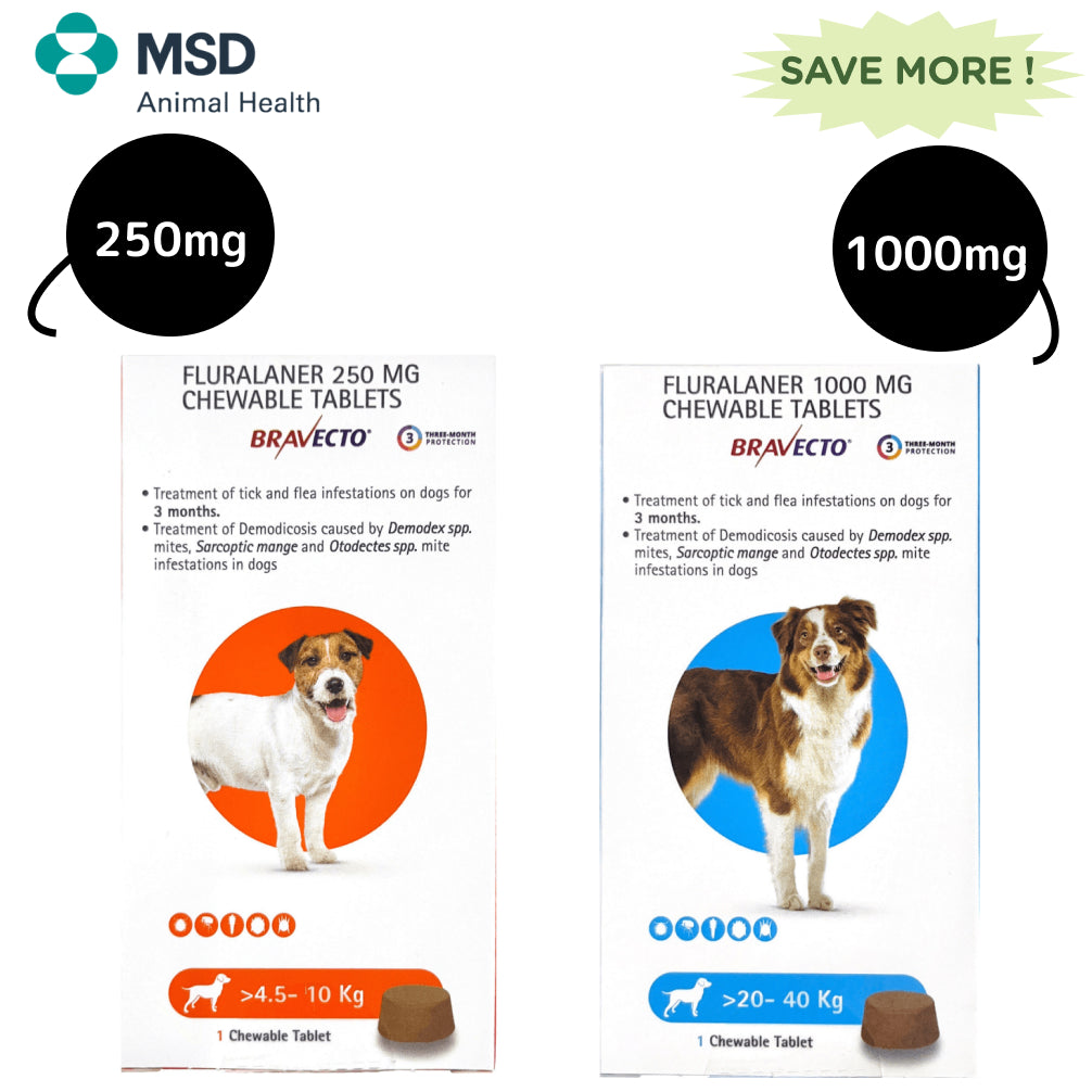 MSD Animal Health Bravecto Tablet 20-40 kg and 4.5-10 kg Combo Dogs-Pharmacy MSD Animal Health Pharmacy 1000mg (1 tablet) + 250mg (1 tablet)