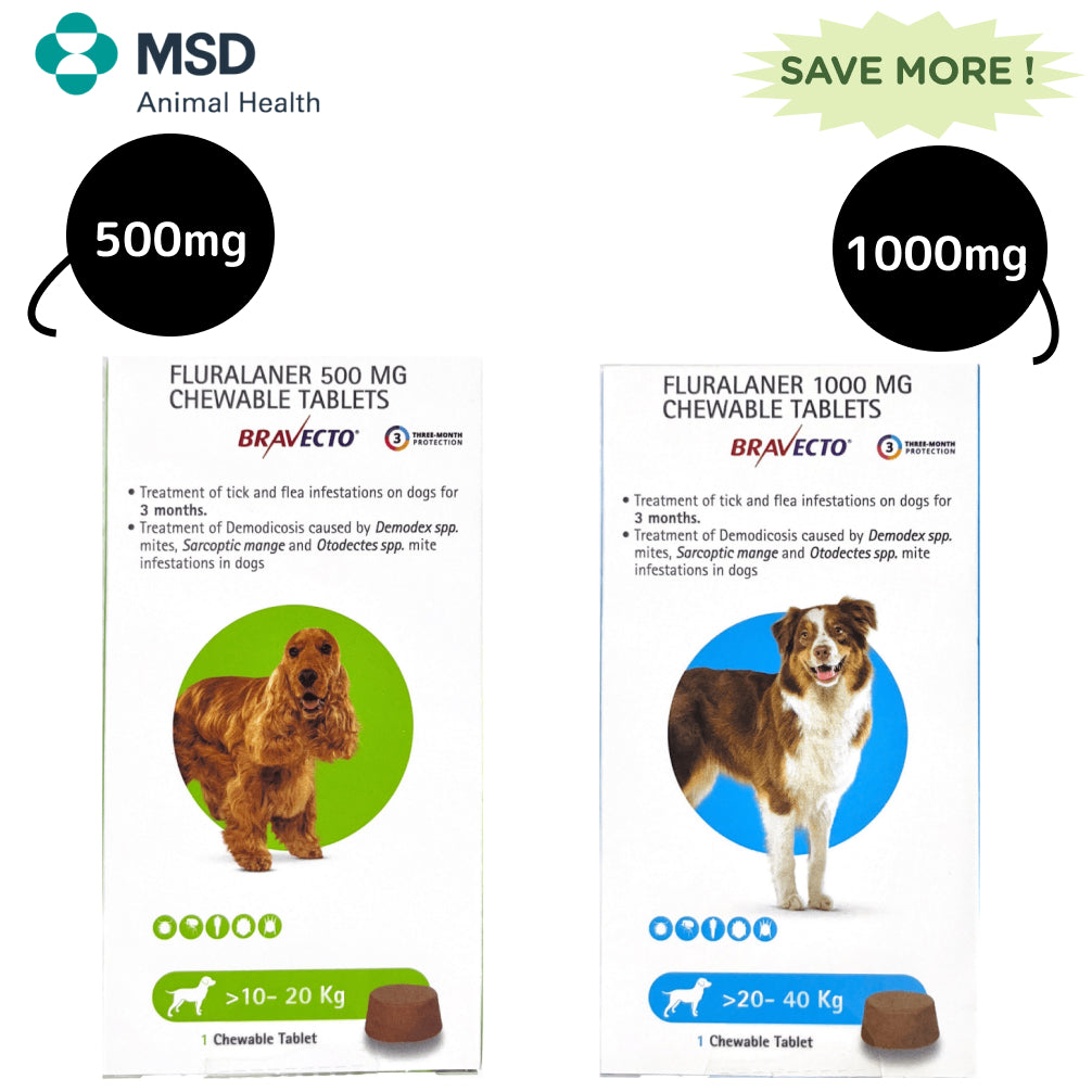 MSD Animal Health Bravecto Tablet 10-20 kg and 20-40 kg Combo Dogs-Pharmacy MSD Animal Health Pharmacy 500mg (1 tablet) + 1000mg (1 tablet)