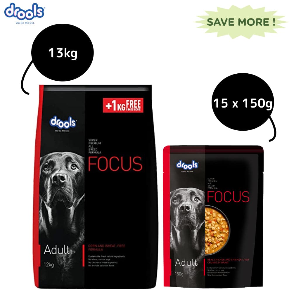 Drools Focus Super Premium Adult Dry Dog Food and Real Chicken & Chicken Liver Chunks in Gravy Adult Dog Wet Food Combo