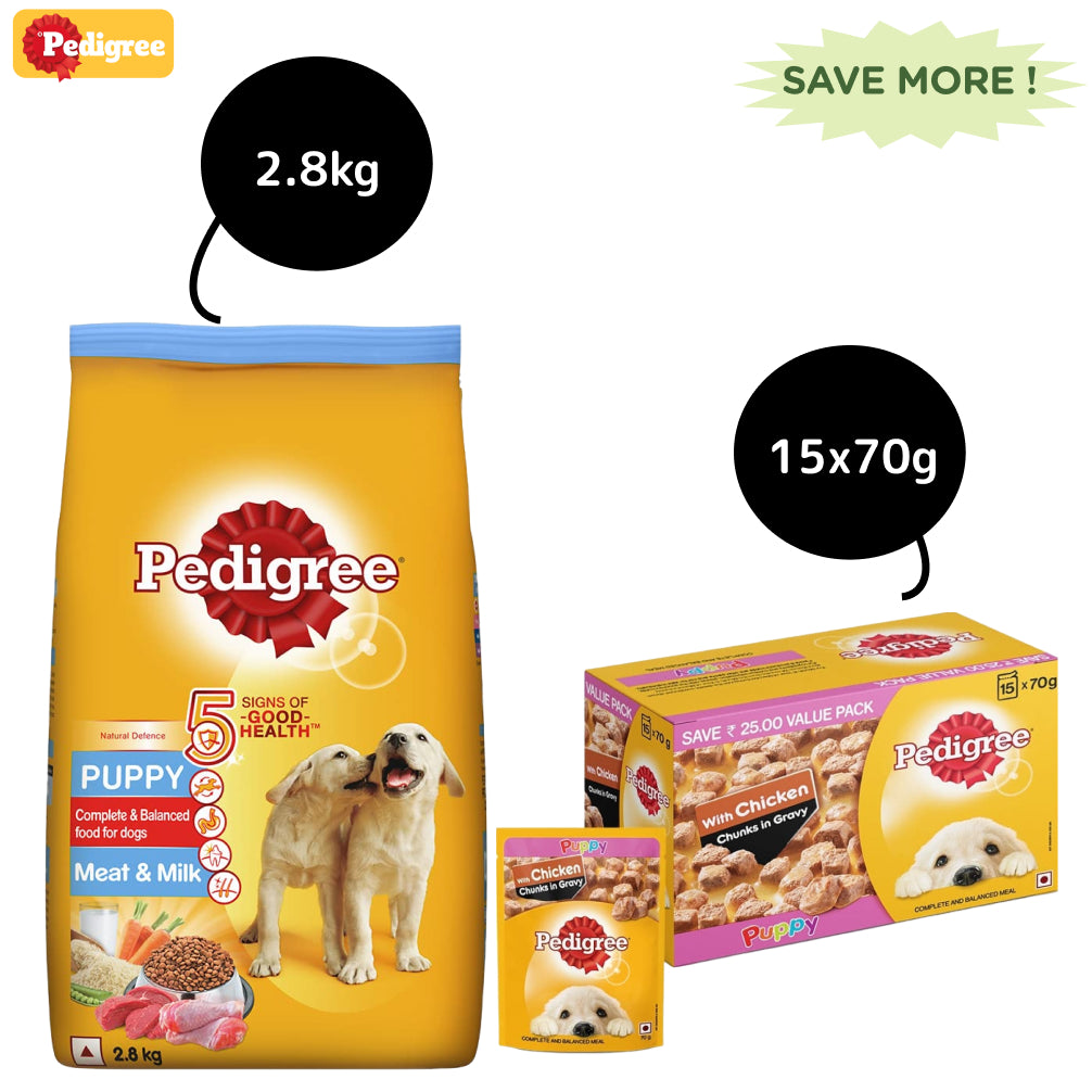Pedigree Meat & Milk and Chicken Chunks in Gravy Puppy Dry and Wet Food Combo