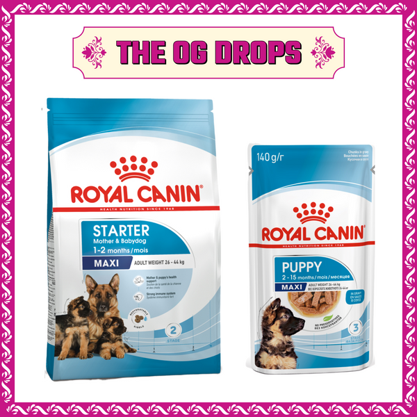 Royal Canin Maxi Starter Dry Food and Maxi Puppy Dog Wet Food Combo