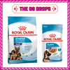 Royal Canin Maxi Starter Dry Food and Maxi Puppy Dog Wet Food Combo Exclusive Combo Royal Canin